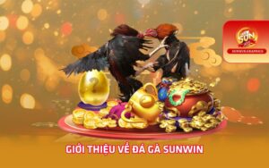 Giới thiệu về đá gà Sunwin